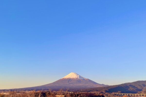あけましておめでとうございます